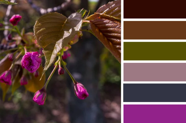 Cores da natureza — Fotografia de Stock