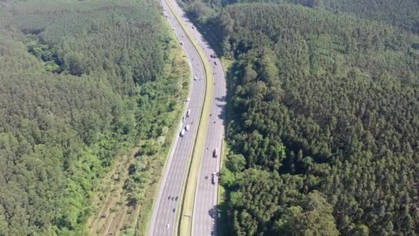 Autostrada Wokół Lasu Scena Autostradzie Widok Drogę Scena Transportu Autostrada — Wideo stockowe