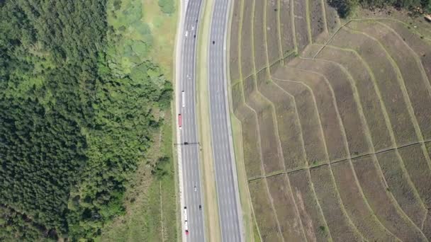 Autoroute Autour Forêt Scène Routière Vue Sur Route Scène Transport — Video