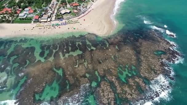 Koraller Scen Stranden Sao Miguel Dos Milagres Alagoas Brasilien Havsutsikt — Stockvideo