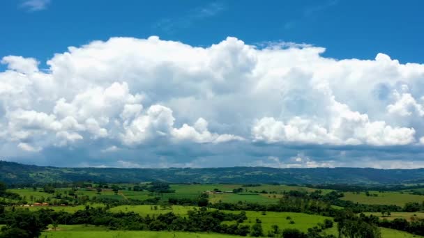 Scène Vie Rurale Scène Végétation Vue Campagne Domaine Agricole Scène — Video