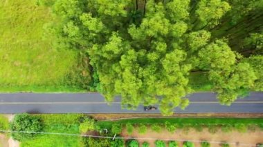 Kırsal yol manzarası kırsal kesimde. Otoyol manzaralı. Otoyol sahnesinde. Kırsal yol manzarası kırsal kesimde. Otoyol manzaralı. Otoyol sahnesinde. Kırsal yol manzarası kırsal kesimde. Otoyol manzaralı. Otoyol sahnesinde.