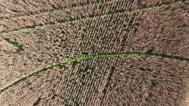 Kırsal alan manzarası. Kırsal yaşam manzarası. Kırsal alan manzarası. Kırsal yaşam manzarası. Kırsal yaşam manzarası. Kırsal yaşam manzarası..