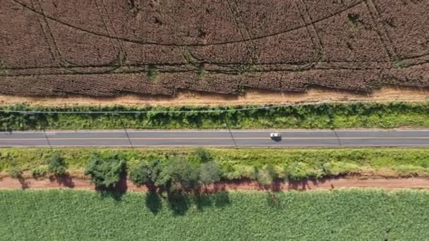 Landelijk Weglandschap Buurt Van Landbouwgebied Landelijk Uitzicht Snelweg Landelijk Weglandschap — Stockvideo