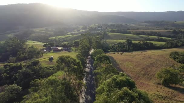 Kırsal Yaşamda Tarım Alanı Sahnesi Kırsal Kesimde Tarımsal Alan Manzarası — Stok video