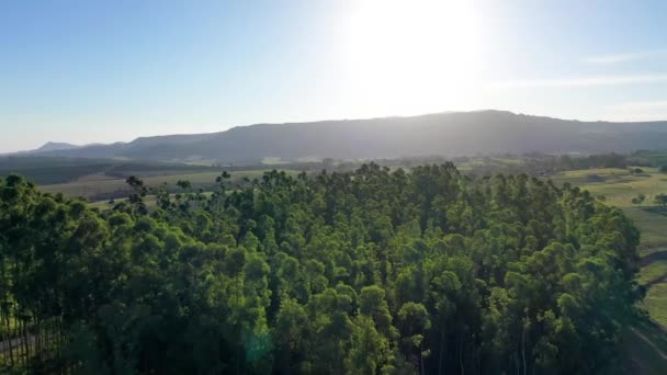 Vista Del Amanecer Vida Rural Campo Paisaje Los Árboles Vista — Vídeos de Stock