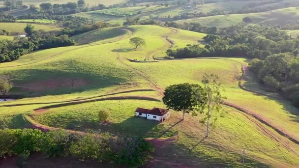 Kırsal Kesimde Gündoğumu Manzarası Ağaçların Manzarası Kırsal Kesimde Gündoğumu Manzarası — Stok video