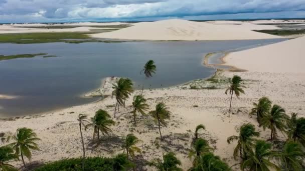 海辺の景色ジェリコアコアラビーチ シーラ ブラジル ビーチフロントビュー 海辺の風景ジェリコアコアラビーチ シーラ ブラジル ビーチフロントビュー 海辺の風景ジェリコアコアラビーチ シーラ — ストック動画