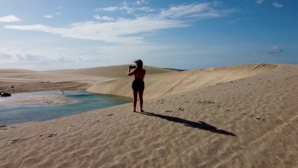 Dunas Naturais Parque Reserva Jericoacoara Ceará Brasil Dunas Naturais Parque — Vídeo de Stock