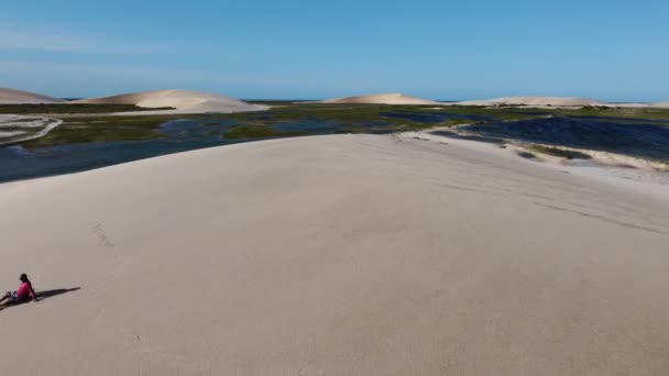 Brasiliansk Nordöstra Över Nationalparken Jericoacoara Sanddyner Ceara Brasilien Brasiliansk Nordöstra — Stockvideo