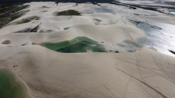 Cena Costeira Dunas Jericoacoara Ceará Brasil Cena Costeira Dunas Jericoacoara — Vídeo de Stock