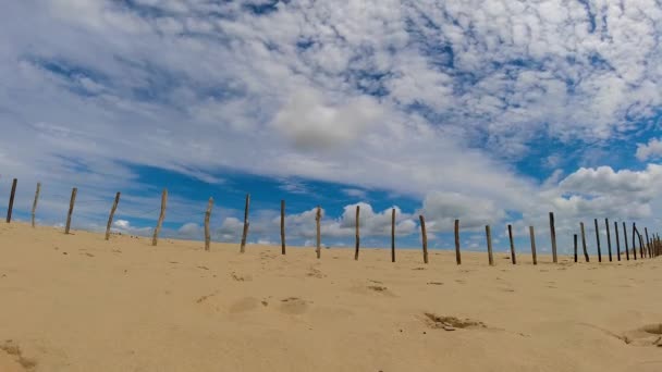 Vista Nord Est Brasiliana Del Parco Nazionale Delle Dune Gerico — Video Stock