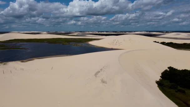 Cena Deserto Praia Jericoacoara Ceará Brasil Nordeste Brasileiro Dunas Areia — Vídeo de Stock