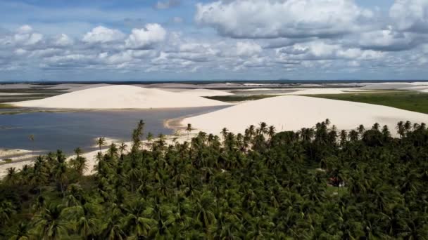 Desert Scene Jericoacoara Beach Ceara Brazília Brazíliai Északkelet Trópusi Homokdűnék — Stock videók