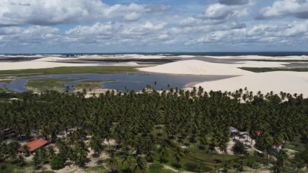 Desert Scene Jericoacoara Beach Ceara Brazília Brazíliai Északkelet Trópusi Homokdűnék — Stock videók