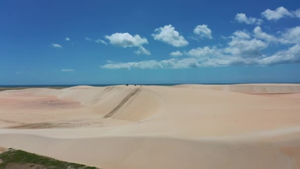 Тропічний Піщаний Пляж Дюни Сайті Jericoacoara Ceara Brazil Тропічний Піщаний — стокове відео