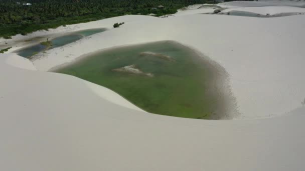 Naturalne Wydmy Plaży Jericoacoara Ceara Brazylia Tropikalna Pustynia Naturalne Wydmy — Wideo stockowe