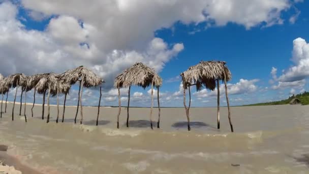 Летнее Время Иерикоакоара Пляж Сира Бразилия Seaside View Summer Направление — стоковое видео