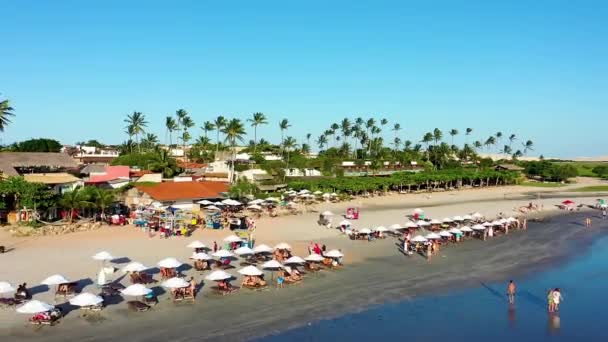 Widok Morze Plaży Jericoacoara Ceara Brazylia Tropikalna Scena Przy Plaży — Wideo stockowe