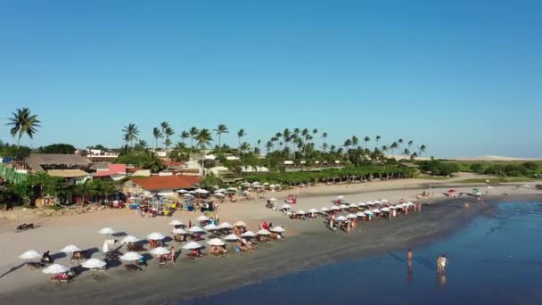 Widok Morze Plaży Jericoacoara Ceara Brazylia Tropikalna Scena Przy Plaży — Wideo stockowe