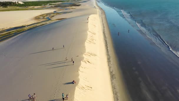 Parc National Jericoacoara Ceara Brazil Tropical Sable Dunes Nature Scene — Video