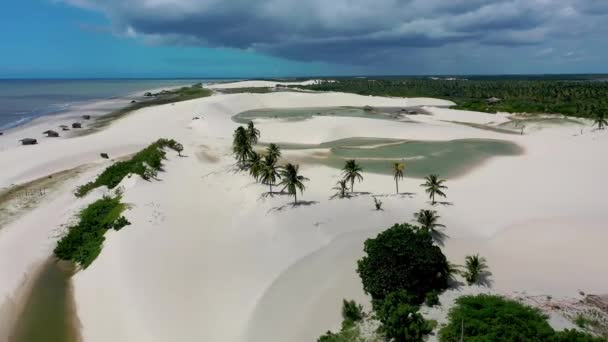 Άποψη Φύση Του Jericoacoara Αμμόλοφους Ceara Βραζιλία Προορισμός Ταξίδι Φύση — Αρχείο Βίντεο