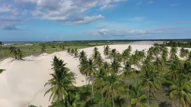 Natur Blick Auf Jericoacoara Sanddünen Ceara Brasilien Reiseziel Natur Blick — Stockvideo