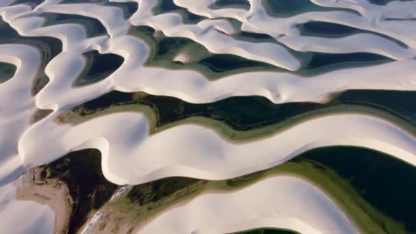 Barreirinhas Maranhao Brasilien Exotischer Blick Auf Lencois Maranhenses Sanddünen Barreirinhas — Stockvideo