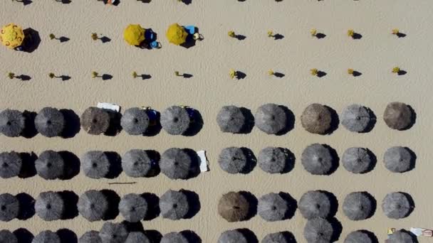 Meerblick Auf Future Beach Fortaleza Ceara Brasilien Meerblick Auf Future — Stockvideo