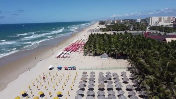 Vedere Malul Mării Umbrelelor Plaja Din Orașul Fortaleza Ceara Brazilia — Videoclip de stoc