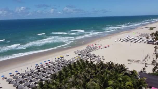 Downtown Scene Fortaleza Beach Ceara Brazil Buildings View Coastal Avenue — Stock Video