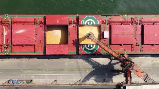 Trasporto Marittimo Santos Port San Paolo Brasile Nave Carico Che — Video Stock