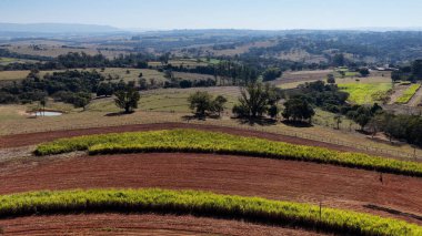 Sao Benedito Das Areias Skyline Sao Paulo Brezilya 'daki Mococa' da. Kırsal Şehir. Kırsal Şehir manzarası. Sao Benedito Das Areias Skyline Sao Paulo Brezilya 'daki Mococa' da. Tarım Alanı. Açık Hava Sahnesi.