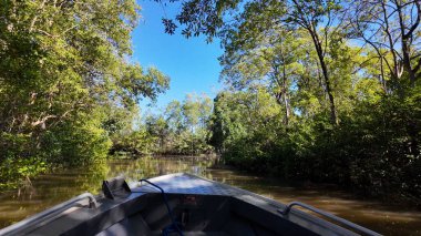Maranhao Brezilya 'da Tutoia' da tekne turu. Parnaiba Delta Peyzajı. Seyahat gezisi. Maranhao Brezilya 'da Tutoia' da tekne turu. Amerika 'nın Safari Deltası. Mangrove Skyline 'da. Parnaiba Deltası.