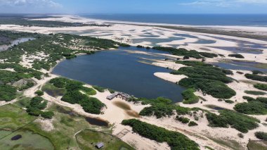 Lencois Maranhenses Tutoia, Brezilya 'da. Doğa Küçük Çarşafları. Manzaralı Palmiye Ağaçları. Lencois Maranhenses Tutoia 'da. Kıvrımlı kum tepeleri. Yağmur suyu gölleri. Tropik seyahat. Brezilya Kuzeydoğu.