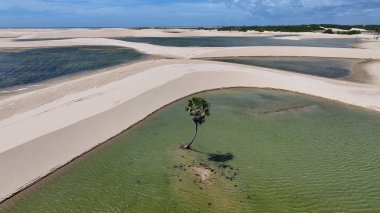 Maranhao Brezilya 'daki Tutoia' da küçük çarşaflar. Doğa manzarası. Kıvrımlı kum tepeleri. Tutoia 'da küçük çarşaflar. Yağmur suyu gölleri. Güzel Yüksek Kumullar. Yaz Gezisi. Brezilya Kuzeydoğu.