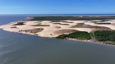 Maranhao Brezilya 'daki Araioses' de Morro Do Meio Plajı. Doğa Manzarası. Parnaiba Delta Vahşi Yaşam. Maranhao 'daki Morro Do Meio Plajı. Kıvrımlı kum tepeleri. Yağmur suyu gölleri. Tropik Seyahat.