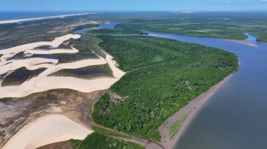 Parnaiba Delta Piaui Brezilya 'da Parnaiba' da. Sarmal Nehir. Doğa Manzarası. Piaui 'de Parnaiba Delta. Amerika 'nın Brezilya Deltası. Plaj manzarası. Tatil seyahatleri. Brezilya Kuzeydoğu.