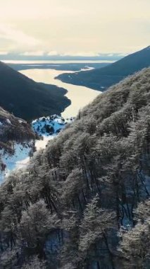 Tierra Del Fuego Arjantin 'deki Ushuaia' da Patagonya Yolu. Karlı Dağlar. Buzul Manzarası. Tierra Del Fuego Arjantin. Kış Arkaplanı. Ushuaia 'daki Patagonya Yolu Tierra Del Fuego Arjantin.