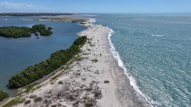 Barra Grande, Brezilya 'da, Cajueiro Da Praia' da. Plaj manzarası. Doğa Deniz Burnu. Tatil Tatilleri. Barra Grande, Brezilya 'da, Cajueiro Da Praia' da. Yaz Seyahati.