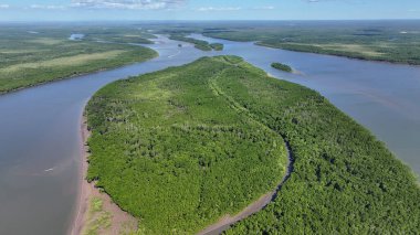 Maranhao Brezilya 'daki Tutoia' da Parnaiba Delta. Doğa Manzarası. Amerika 'nın Brezilya Deltası. Maranhao 'daki Parnaiba Delta. Sarmal Nehir. Plaj manzarası. Tatil seyahatleri. Brezilya Kuzeydoğu.