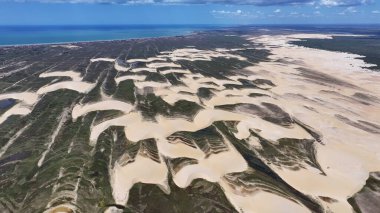 Piaui Brezilya 'daki Luis Correia' da Lencois Piauienses. Doğa manzarası. Kıvrımlı kum tepeleri. Lencois Piauiens Luis Correia 'da. Yağmur suyu gölleri. Portinho Gölü. Yaz Gezisi. Brezilya Kuzeydoğu.