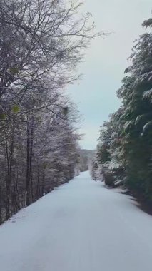 Tierra Del Fuego Arjantin 'deki Ushuaia' da kar kapaklı yol. Karlı Dağlar. Buzul Manzarası. Tierra Del Fuego Arjantin. Kış Arkaplanı. Tierra Del Fuego Arjantin 'de Ushuaia' da Karlı Yol.