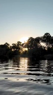 Victoria Falls Zambiya 'daki Zambezi Nehri' nde Sunset Skyline. Günbatımı Skyline. Doğa manzarası. Zambezi Nehri Victoria Şelalesi Zambiya. Safari arka planında dolaşın. Seyahat Zambesi.