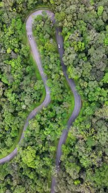 Morretes Parana. Estrada da Graciosa Parana Brezilya 'da Morretes' te. Tarihi Yol 'da. Dolambaçlı Peyzaj. Seyahat güzergahı. Estrada da Graciosa Parana Brezilya 'da Morretes' te. Tatil Turizmi.