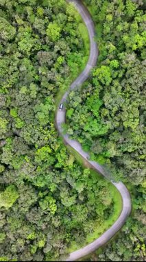 Morretes Parana. Estrada da Graciosa Parana Brezilya 'da Morretes' te. Tarihi Yol 'da. Dolambaçlı Peyzaj. Seyahat güzergahı. Estrada da Graciosa Parana Brezilya 'da Morretes' te. Tatil Turizmi.