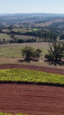 Sao Benedito Das Areias Skyline Sao Paulo Brezilya 'daki Mococa' da. Kırsal Şehir. Kırsal Şehir manzarası. Sao Benedito Das Areias Skyline Sao Paulo Brezilya 'daki Mococa' da. Tarım Alanı. Açık Hava Sahnesi.
