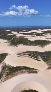 Piaui Brezilya 'daki Luis Correia' da Lencois Piauienses. Doğa manzarası. Kıvrımlı kum tepeleri. Lencois Piauiens Luis Correia 'da. Yağmur suyu gölleri. Portinho Gölü. Yaz Gezisi. Brezilya Kuzeydoğu.