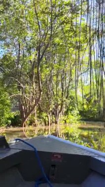 Maranhao Brezilya 'da Tutoia' da tekne turu. Parnaiba Delta Peyzajı. Seyahat gezisi. Maranhao Brezilya 'da Tutoia' da tekne turu. Amerika 'nın Safari Deltası. Mangrove Skyline 'da. Parnaiba Deltası.