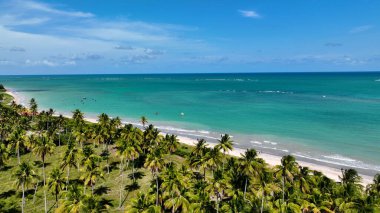 Brezilya 'nın kuzeydoğusunda Sao Miguel Dos Milagres Alagoas Brezilya' da gökyüzü. Yaz tatilinde harika bir sahil manzarası olan kuş bakışı. Sahil Gökyüzü Sahil Kıyısı Yaz Zamanı. Sahil Sahili Panoramik.